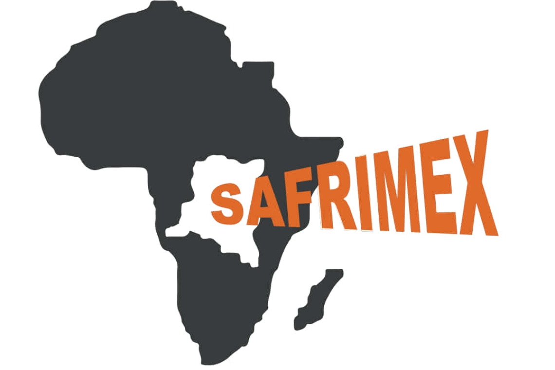 Safrimex accusé dans la perturbation de la fourniture du courant électrique à Kinshasa
